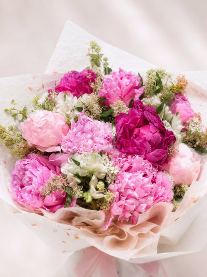 Peony Whisper