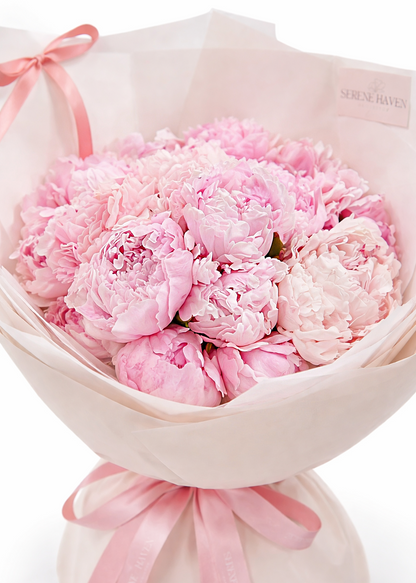 Peony Blush