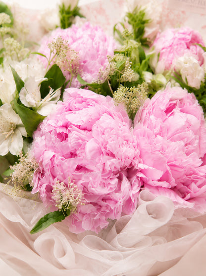 Peony Daydream