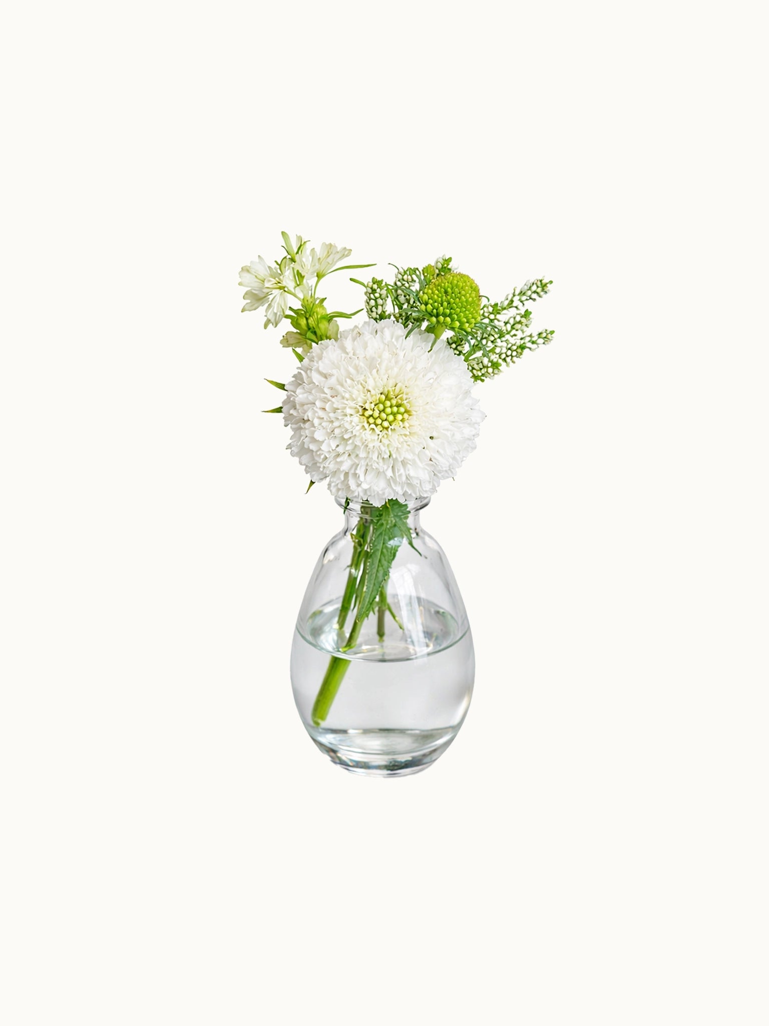 Blanc