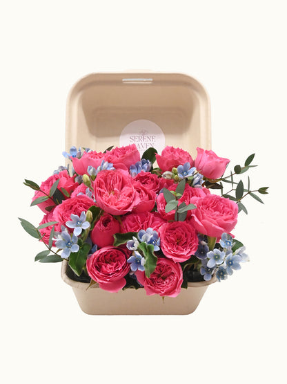 Petite Rosé Mini Box