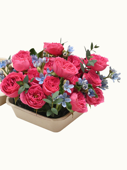Petite Rosé Mini Box
