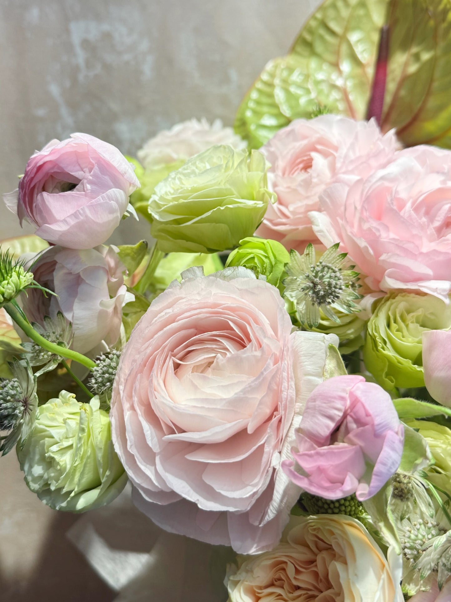 Chapter of Soft Blush