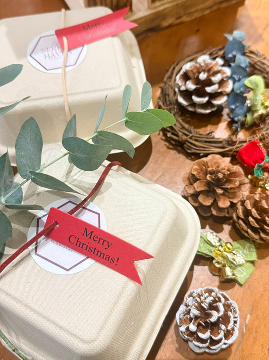 🎄 Mini Christmas Wreath Workshop (1 Hour)