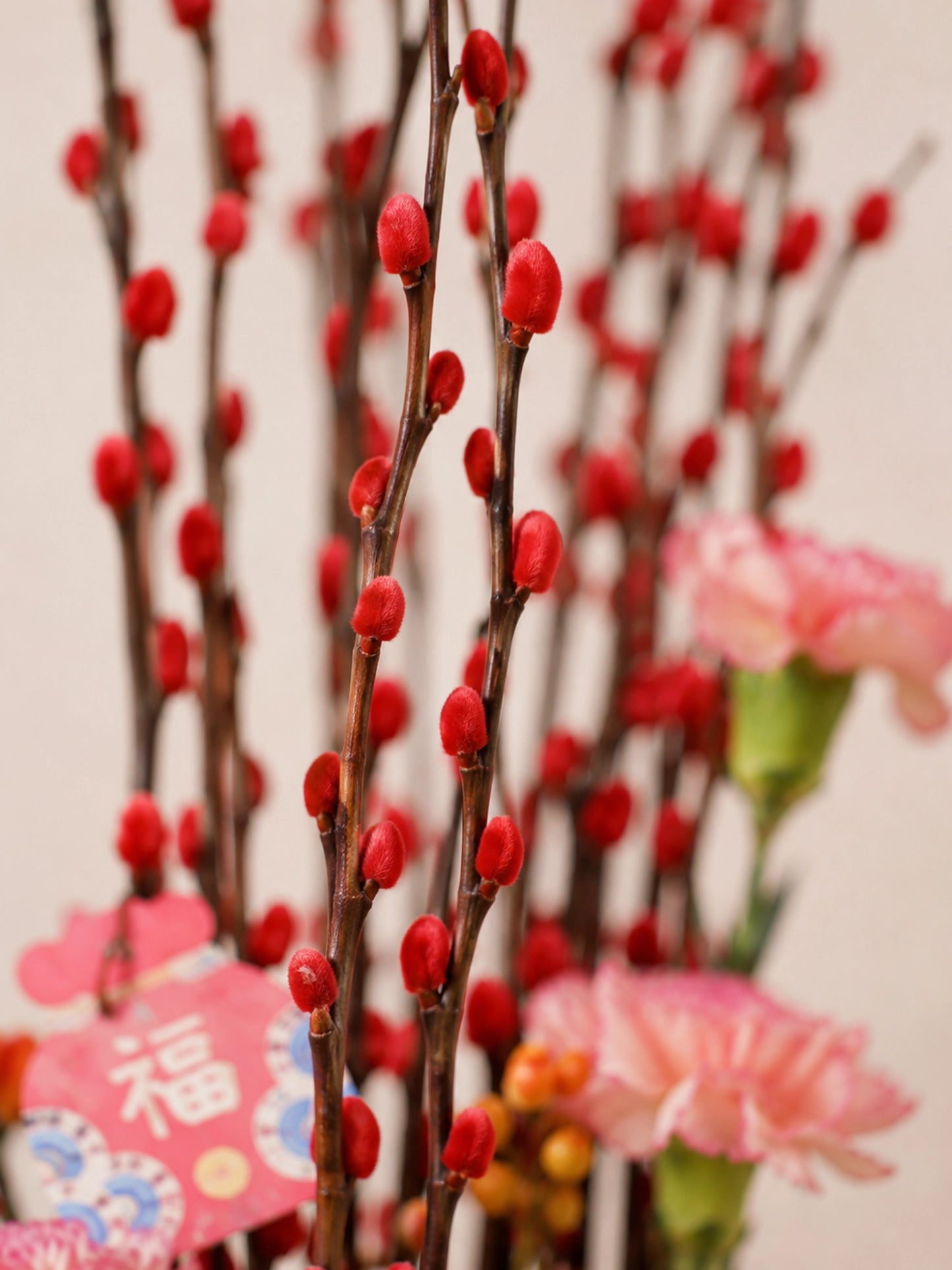 賀年枝材細節｜Blush Bloom Vase with festive branches