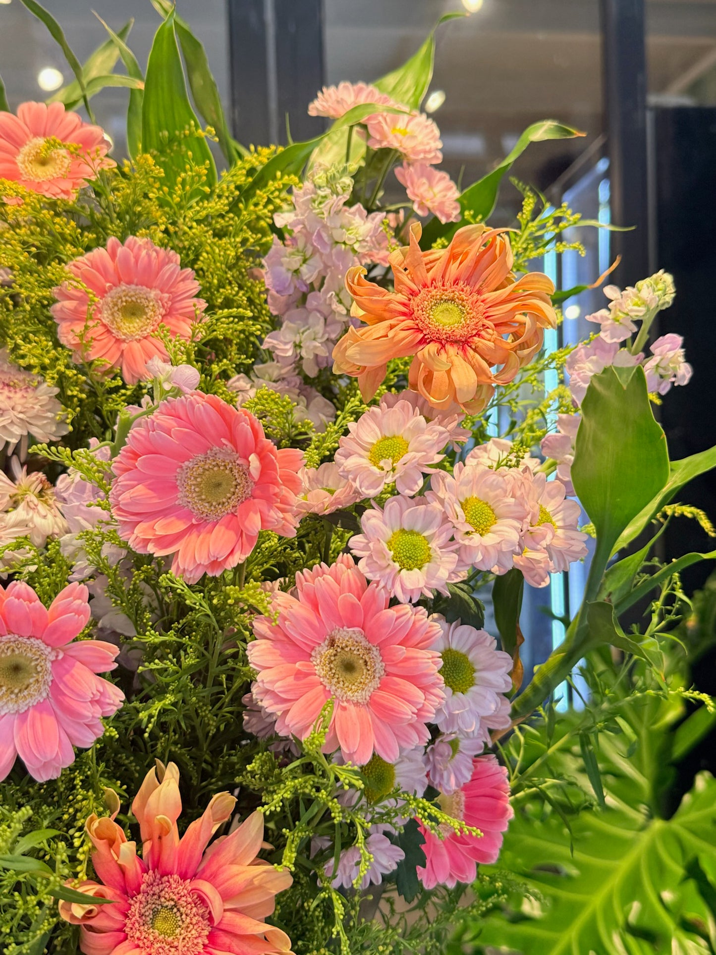 Blush Glow flower detail｜coral pink blooms 與柔和綠葉層次