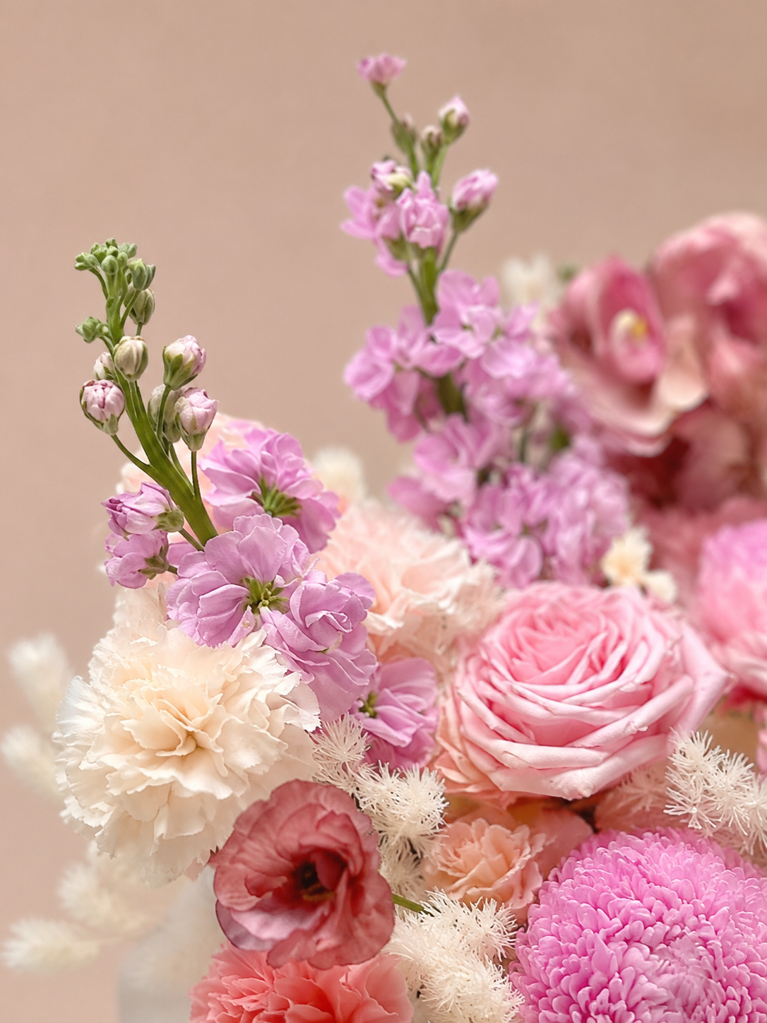 Blush roses、soft pink blooms 及 ivory floral textures 的 close-up
