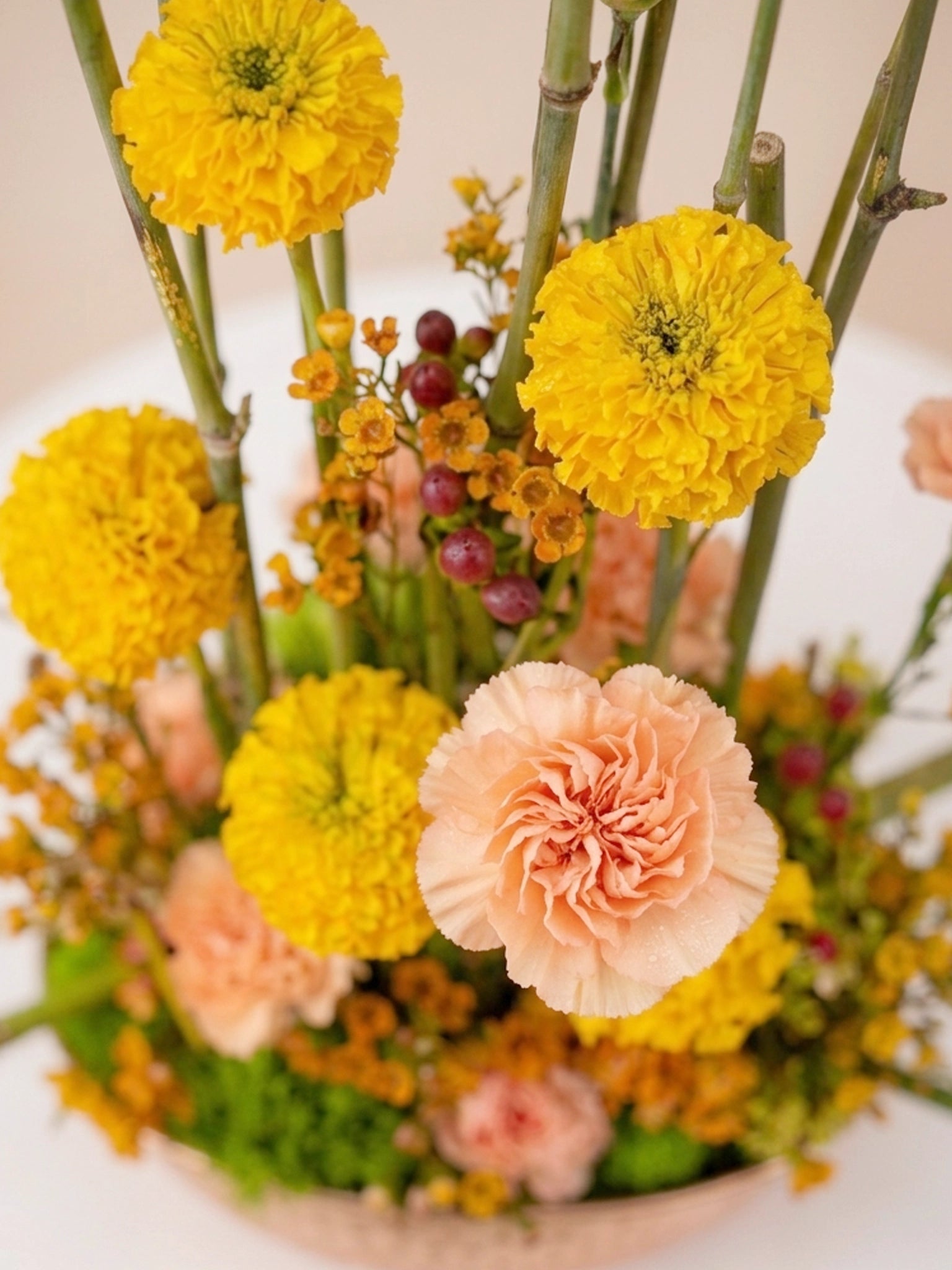 金黃色花材特寫｜Close-up of festive golden blooms