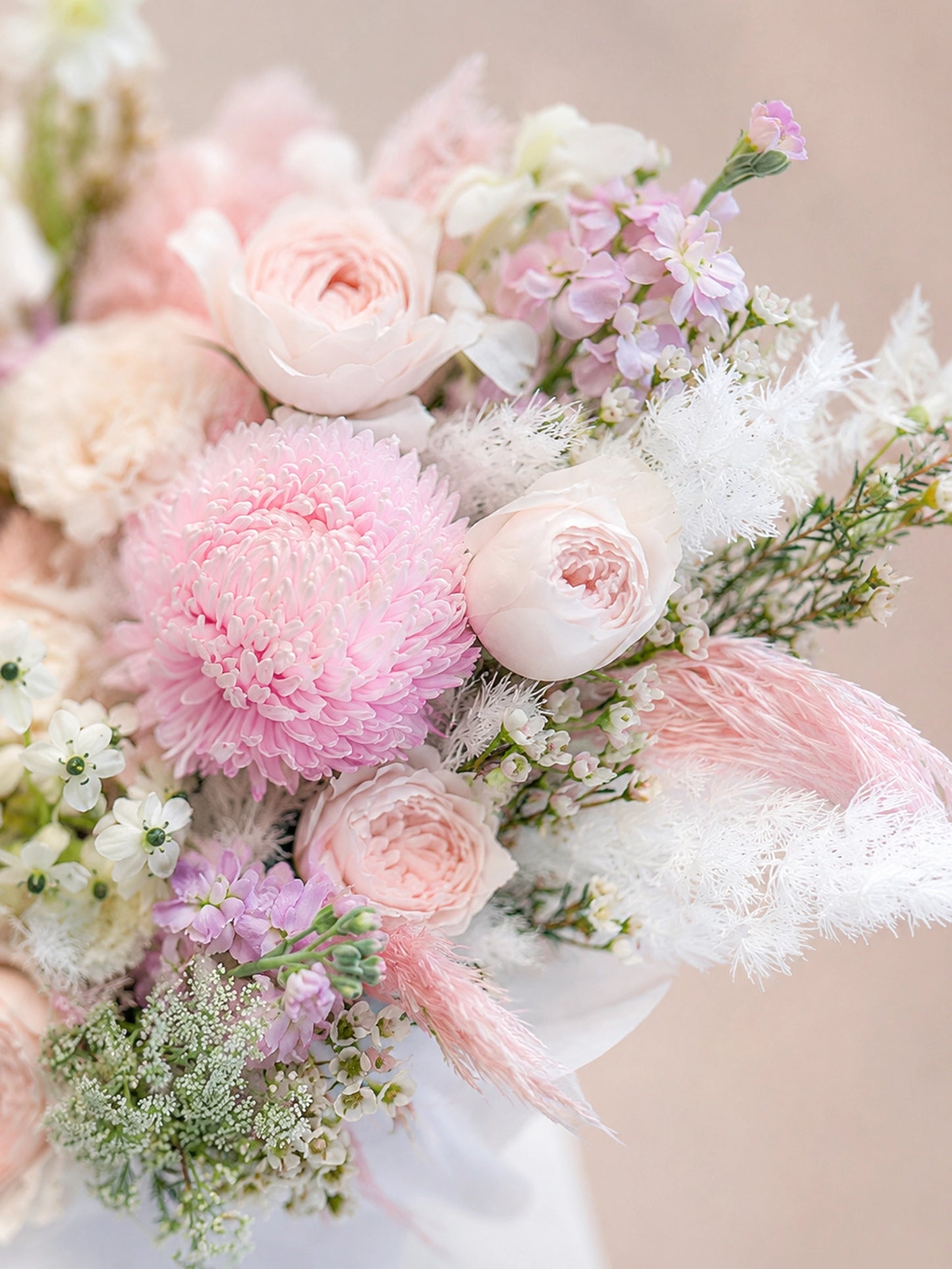 Chapter of Blush 花藝特寫｜Pink chrysanthemum and blush roses close-up