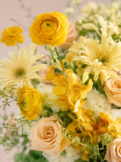 Chapter of Daylight 花藝特寫｜Yellow ranunculus and peach roses