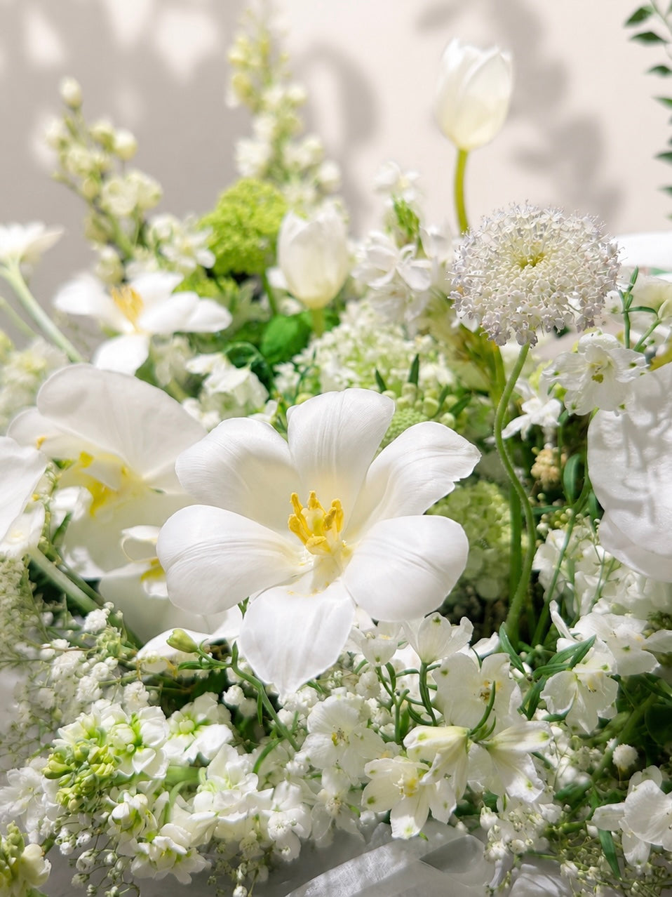 Serene Haven 西營盤花店 - Chapter of Eternity L大號米白色圓形花盒 澎湃純白時令鮮花與墨綠色絲帶蝴蝶結細節