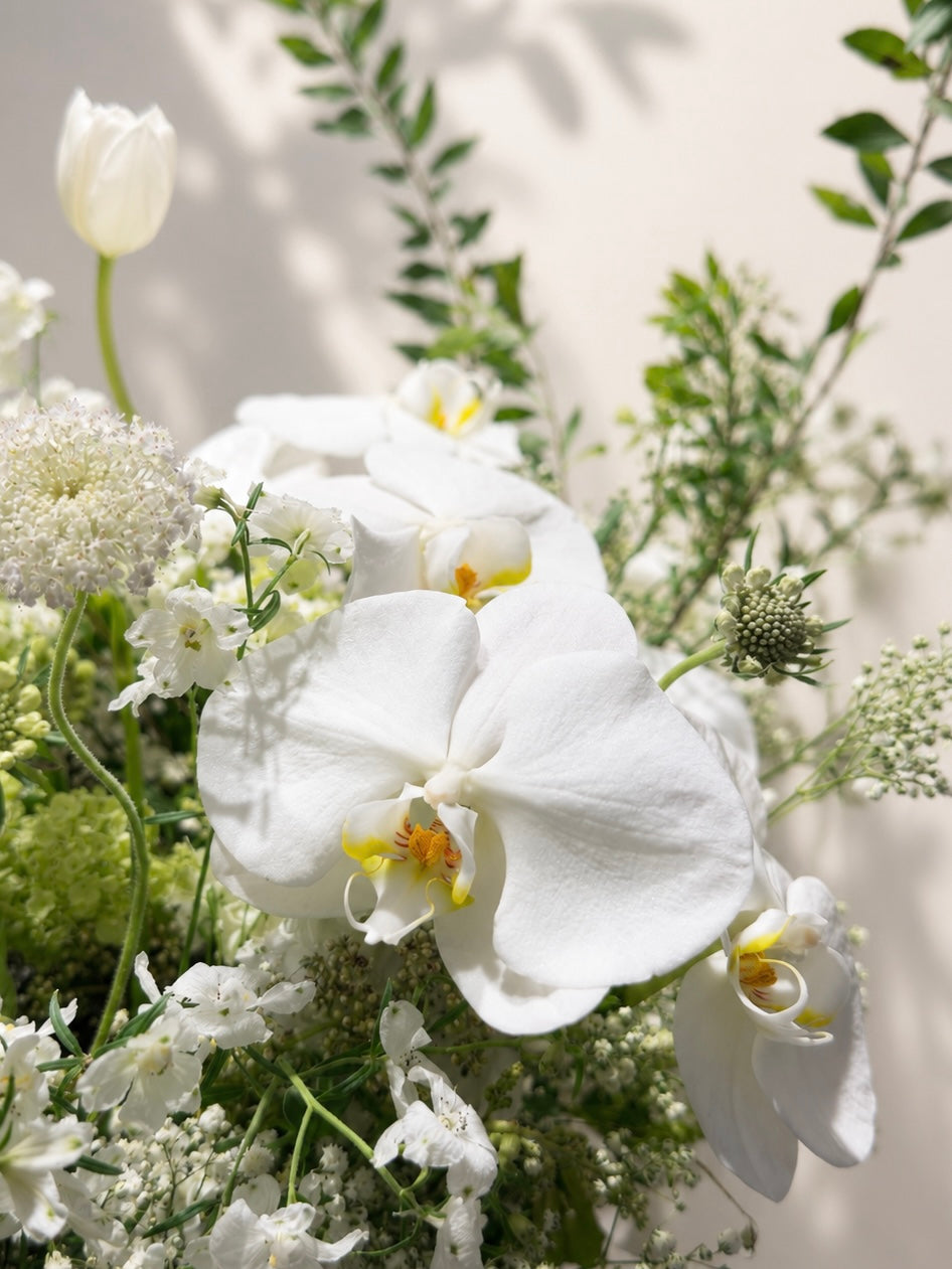 Serene Haven 西營盤花店 - Chapter of Eternity flower box 高貴純白蝴蝶蘭與時令鮮花細節特寫