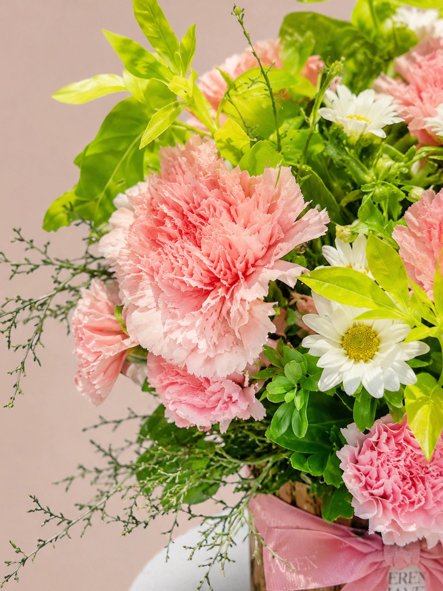 Chapter of Petals 花藝特寫｜Pink carnations with fresh greenery close-up