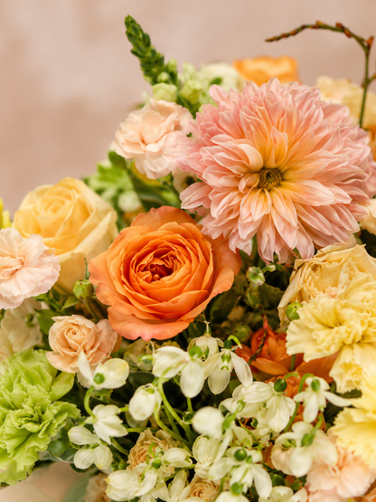 Chapter of Radiance 花朵細節｜Peach roses and seasonal blooms
