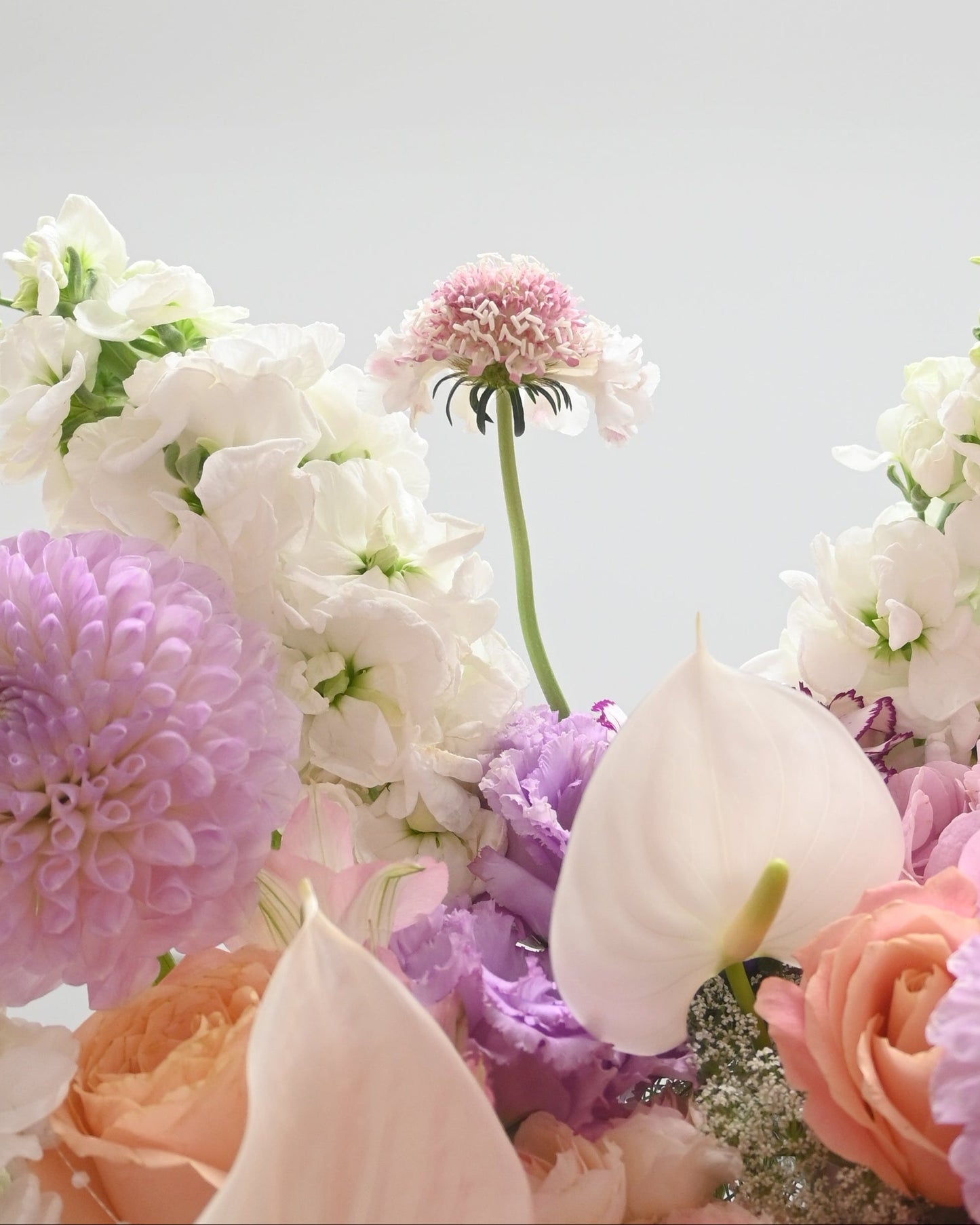 Chapter of Reverie 花藝細節｜Pastel blooms with blush tones