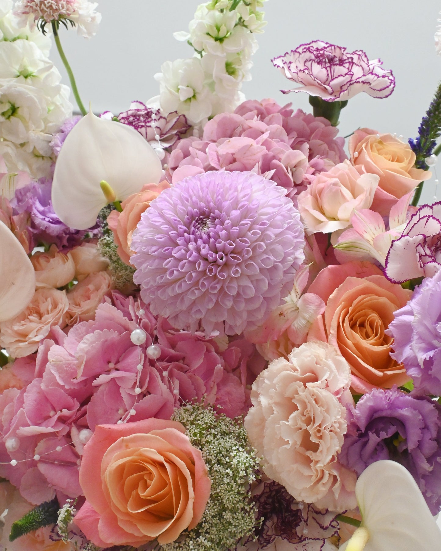 Chapter of Reverie 花朵近拍｜Pink seasonal flowers and peach roses
