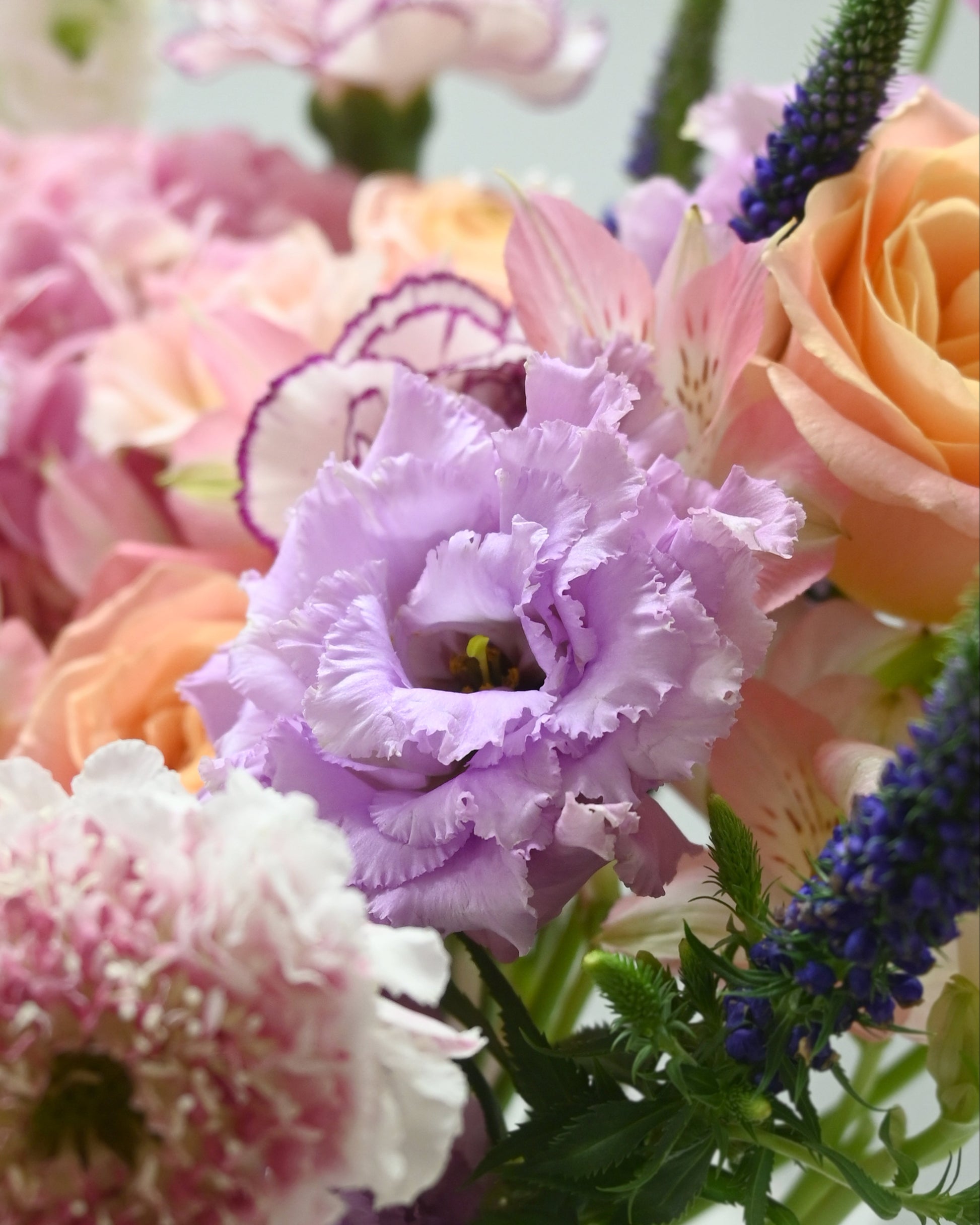 Chapter of Reverie 花朵細節｜Peach roses and lavender flowers