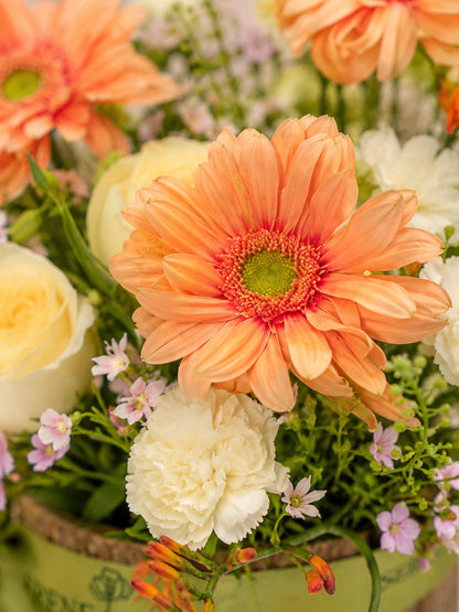 Serene Haven 西營盤花店 - Chapter of Spring mini flower box 溫柔粉橙色非洲菊與優雅時令鮮花特寫