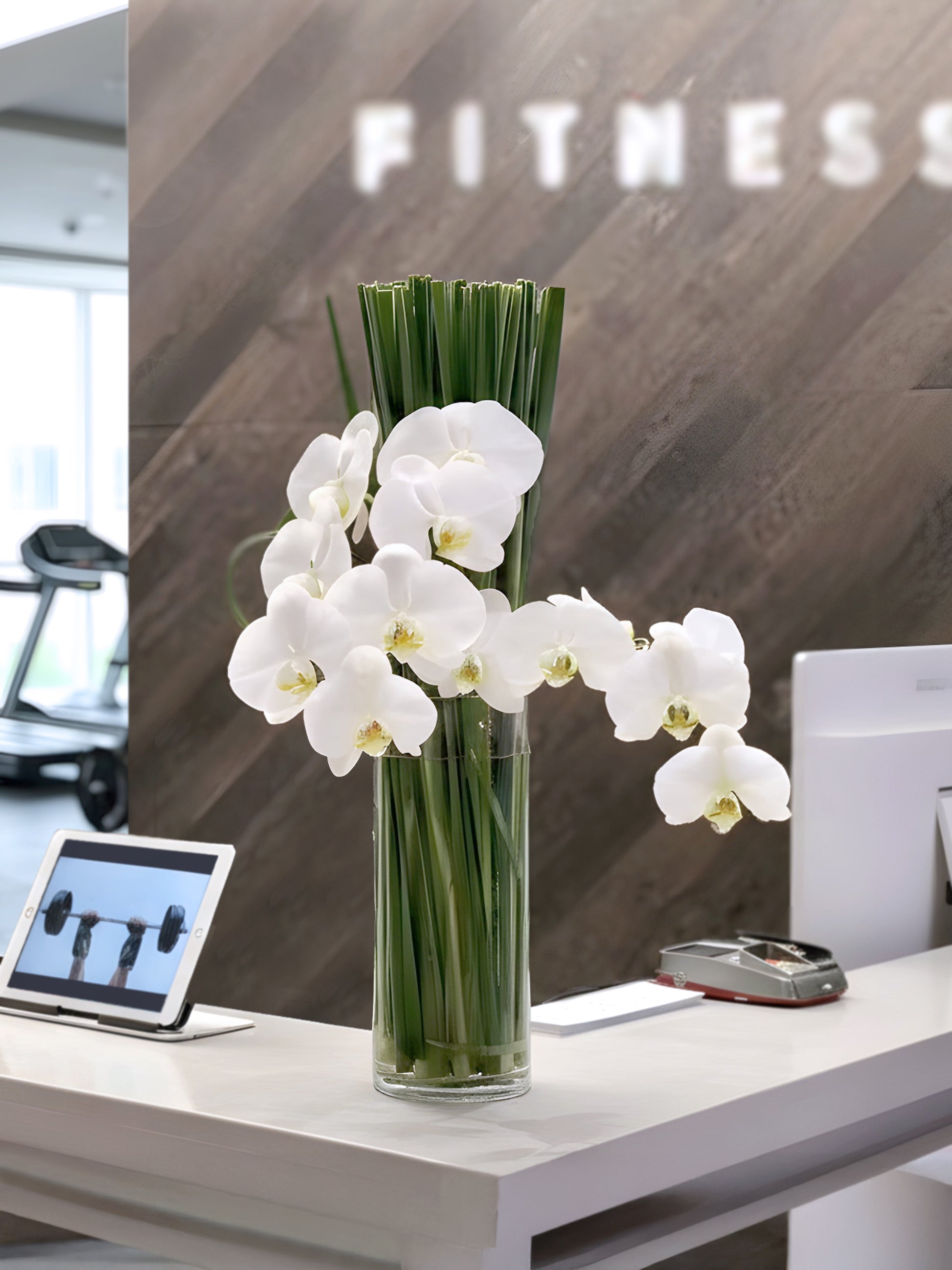 Corporate Flower Subscription｜White orchid arrangement at fitness reception，適合 gym、clubhouse 及企業接待空間。