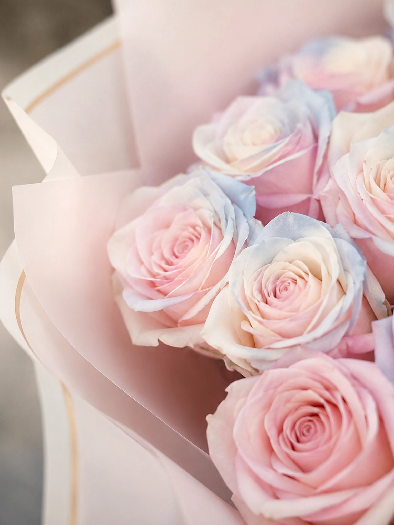 Darling 粉色玫瑰花束特寫 Pink Rose Bouquet Close-up
