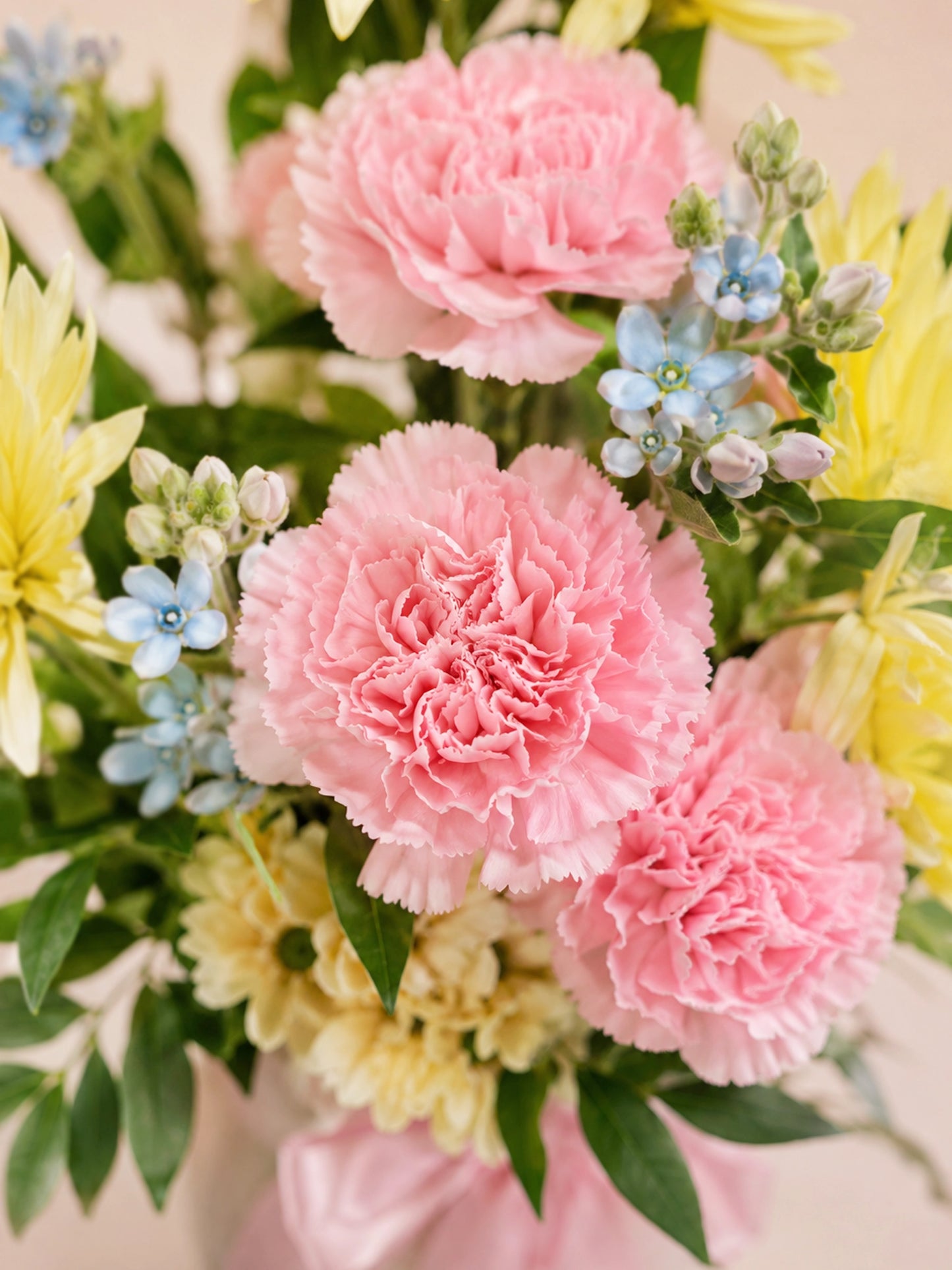 粉色花材特寫｜Close-up of pink carnations in Daylight Bloom Vase