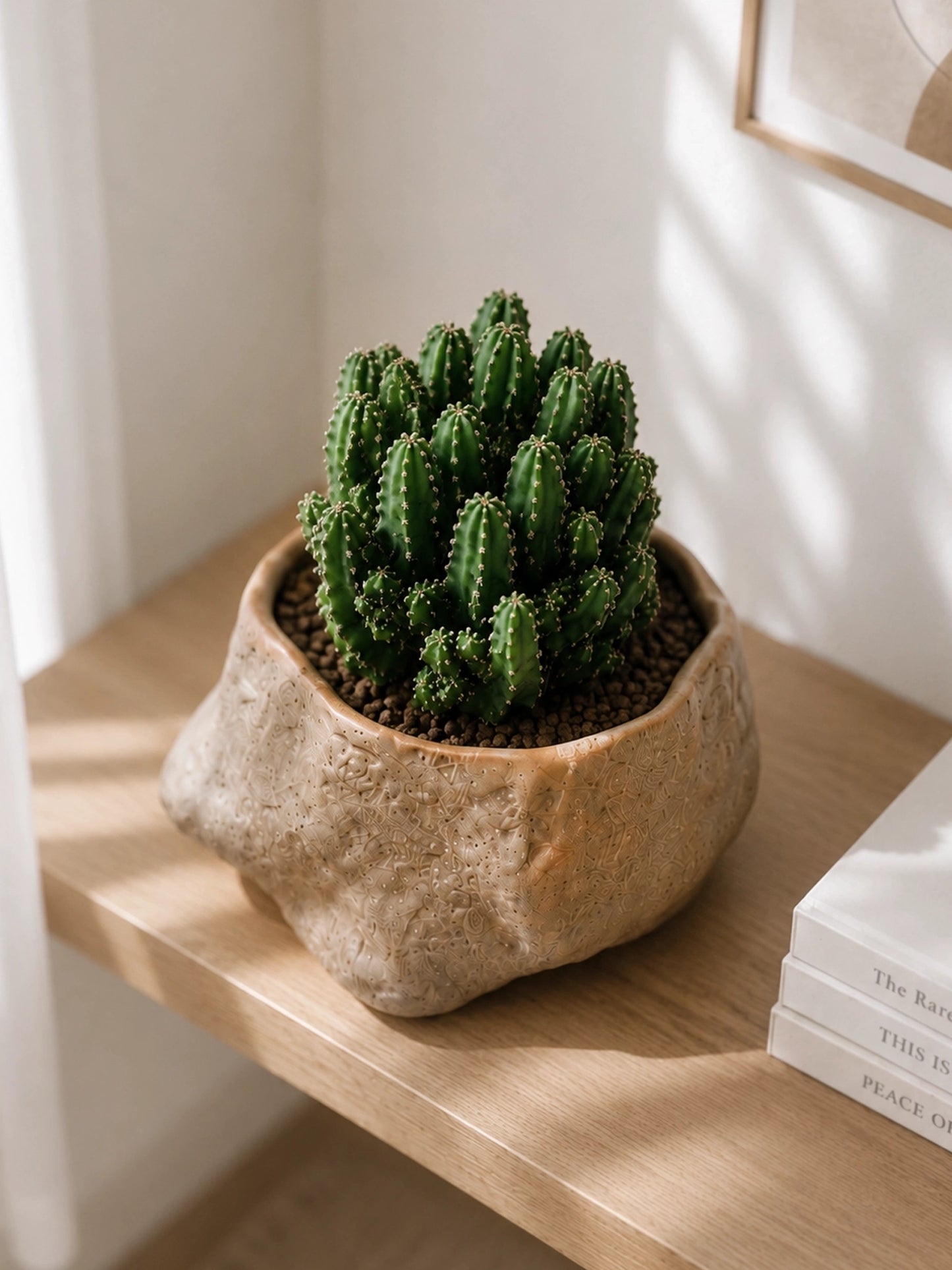 Close-up of Emerald Sculpture Cactus｜翠影仙人掌 in handcrafted ceramic planter, sculptural green cactus with rich texture, calming natural light and modern minimalist décor.