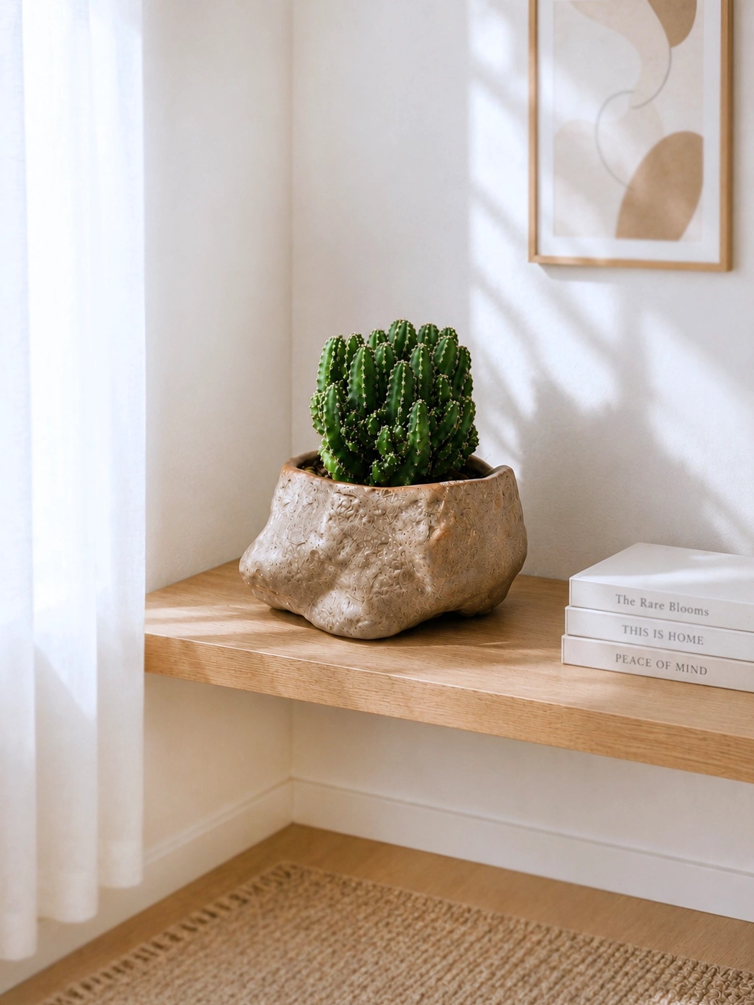 Emerald Sculpture Cactus｜翠影仙人掌 displayed on a warm wooden shelf with artisan ceramic planter, soft morning daylight and serene minimalist home interior.