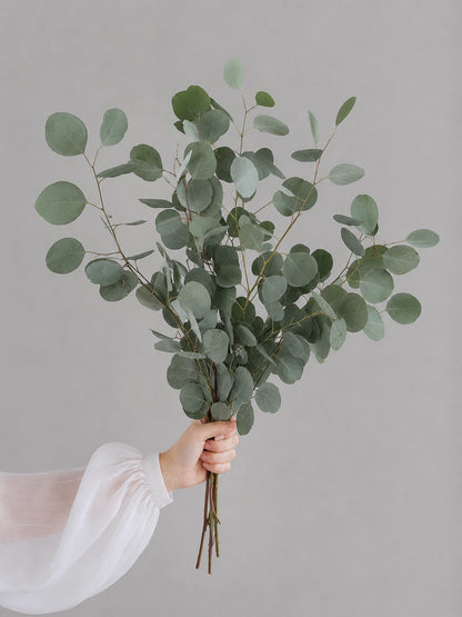 Heart Leaf Eucalyptus｜心形尤加利葉，葉片圓潤，清新自然，適合花束與花藝設計。
