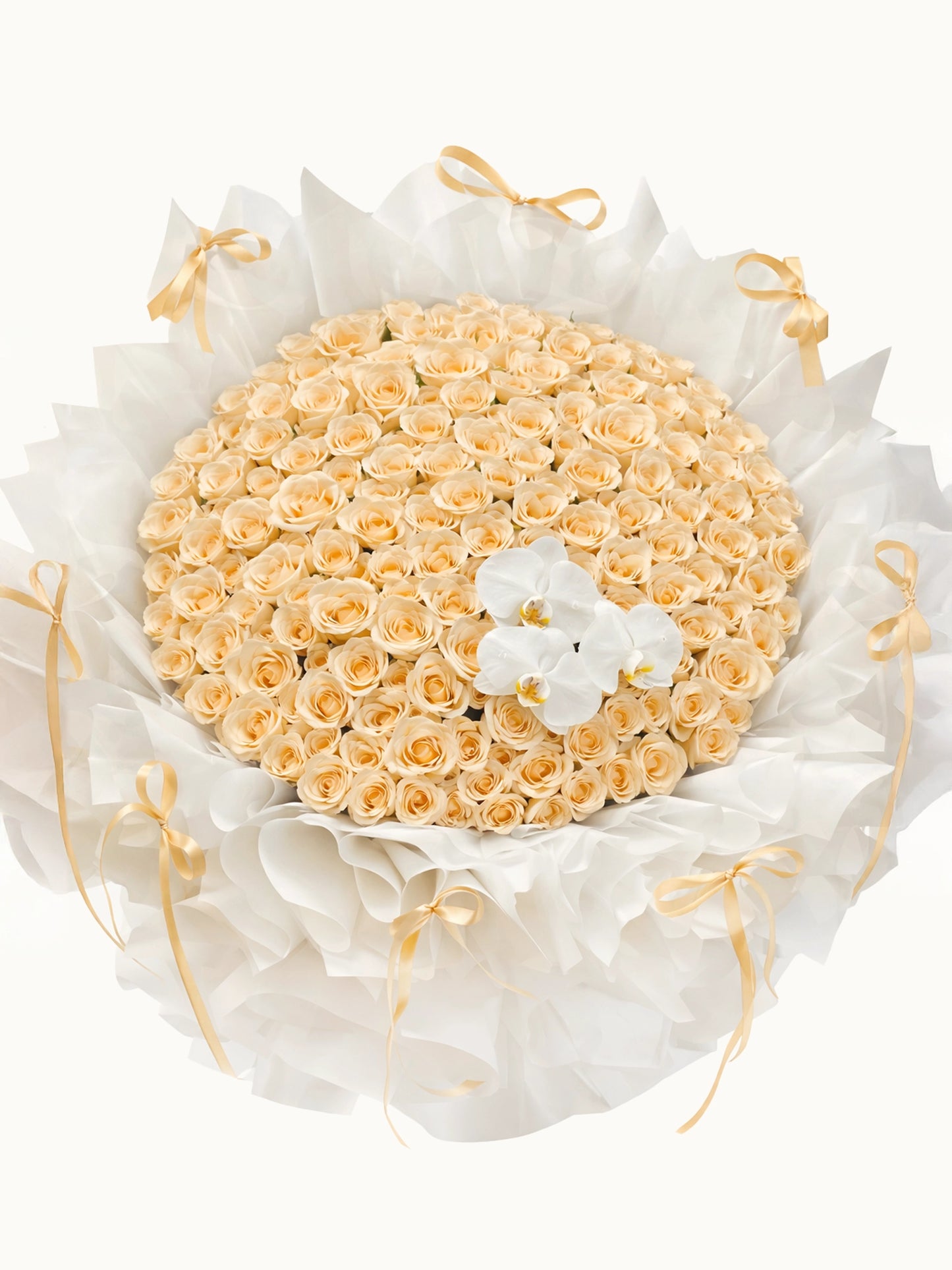 First Kiss 優雅香檳金色玫瑰，與高貴白蝴蝶蘭花束，fresh champagne roses and white orchids bouquet