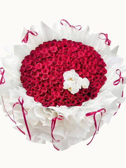 First Kiss 溫柔桃色玫瑰，與高貴白蝴蝶蘭花束，fresh fuchsia roses and white orchids bouquet