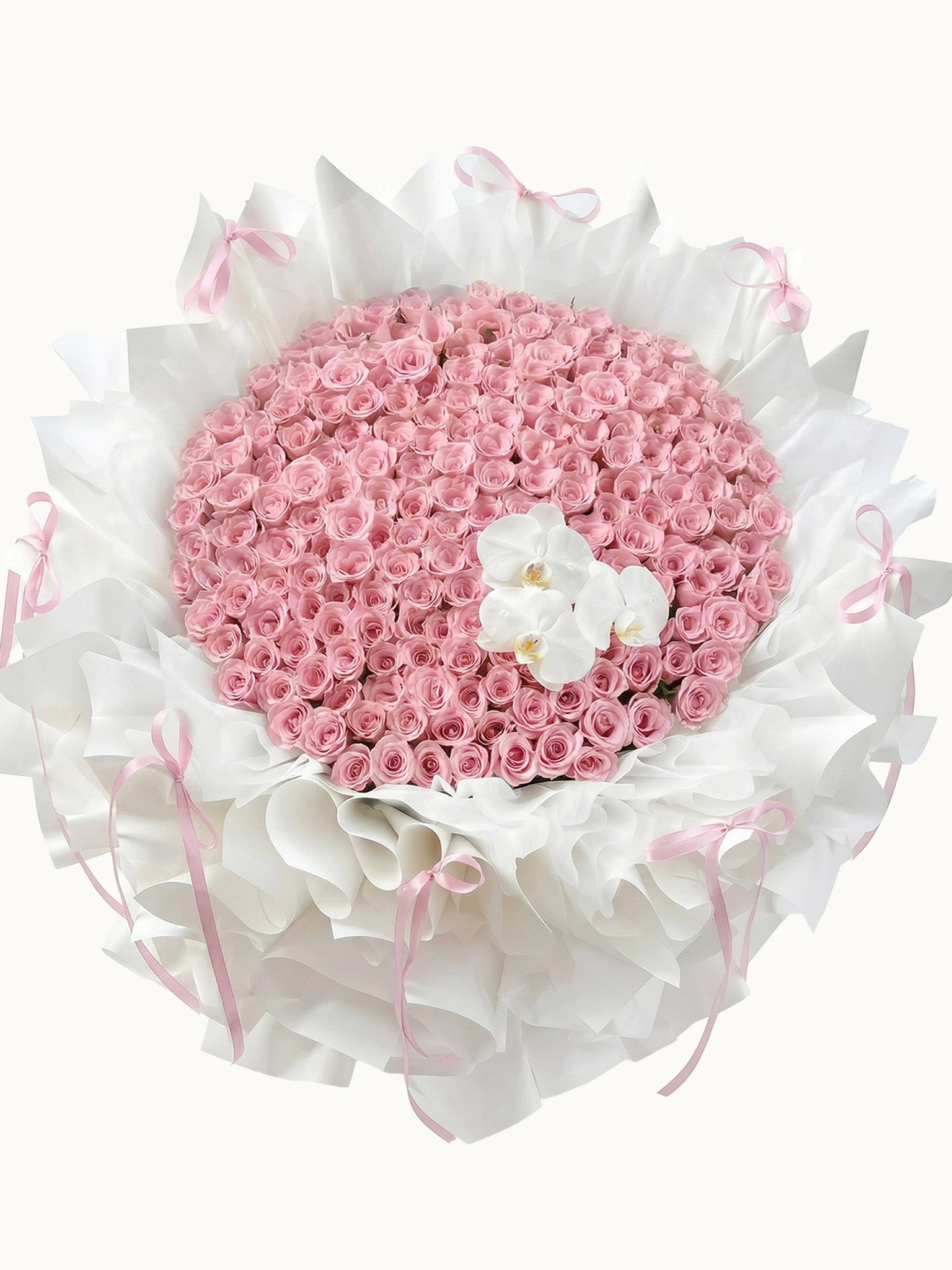 First Kiss 漫漫粉紅色玫瑰，與高貴白蝴蝶蘭花束，fresh pink roses and white orchids bouquet