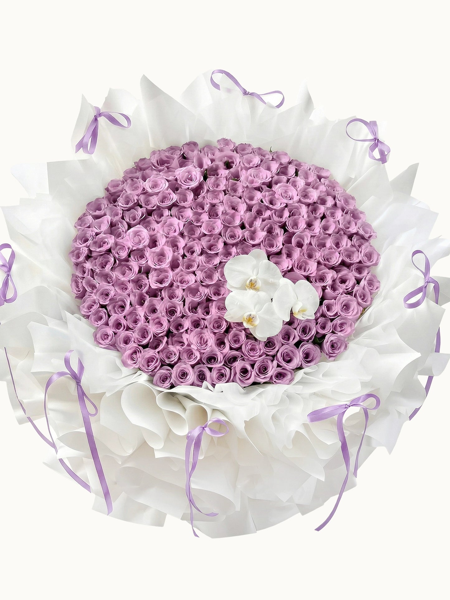 First Kiss 浪浸紫色玫瑰，與高貴白蝴蝶蘭花束，fresh purple roses and white orchids bouquet