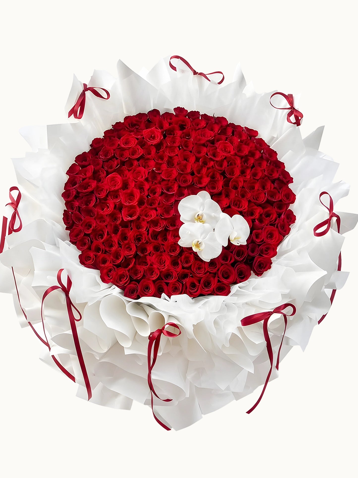 First Kiss 經典紅色玫瑰，與高貴白蝴蝶蘭花束，fresh red roses and white orchids bouquet