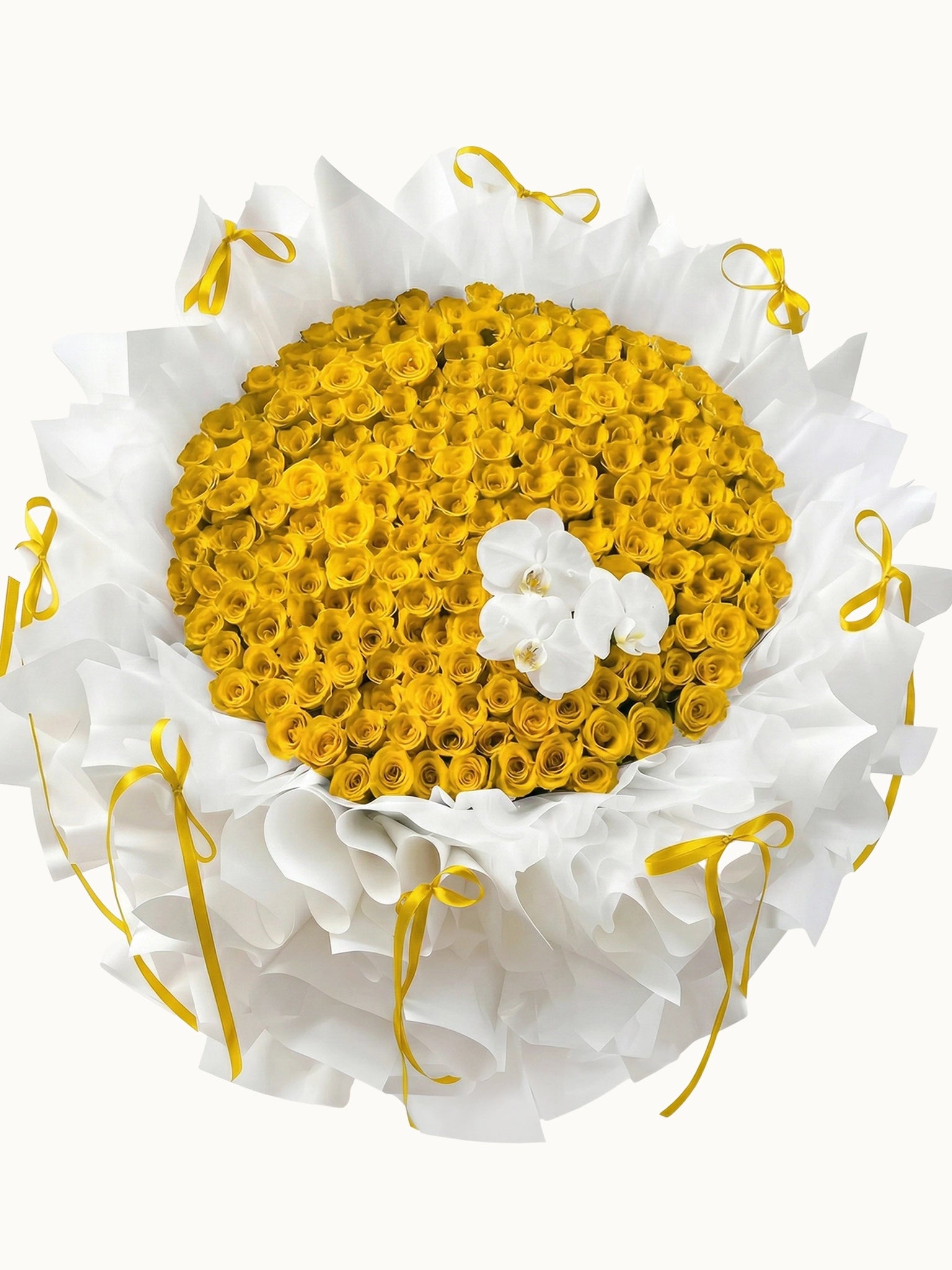 First Kiss 明亮黃色玫瑰，與高貴白蝴蝶蘭花束，fresh yellow roses and white orchids bouquet
