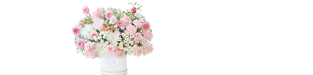 Flower Boxes Collection Banner－粉白色 Flower Box 採用 roses、disbud chrysanthemums、gerberas 同 seasonal blooms，展現 elegant floral arrangement，適合 Birthday、Anniversary、Congratulations 及 heartfelt gifting。