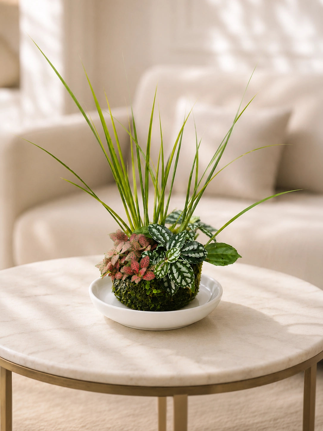 Forest Harmony Kokedama 森林和諧日式苔蘚球，正面展示，Japanese moss ball with indoor foliage