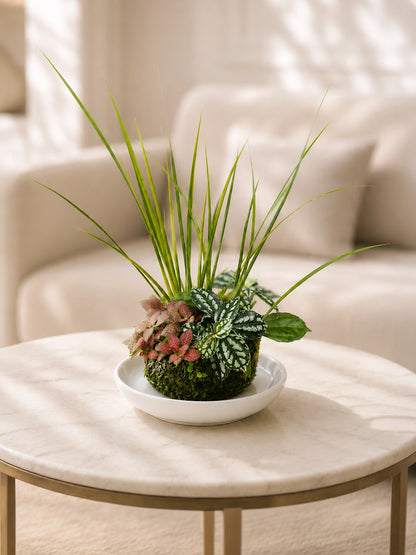Forest Harmony Kokedama 森林和諧日式苔蘚球，正面展示，Japanese moss ball with indoor foliage