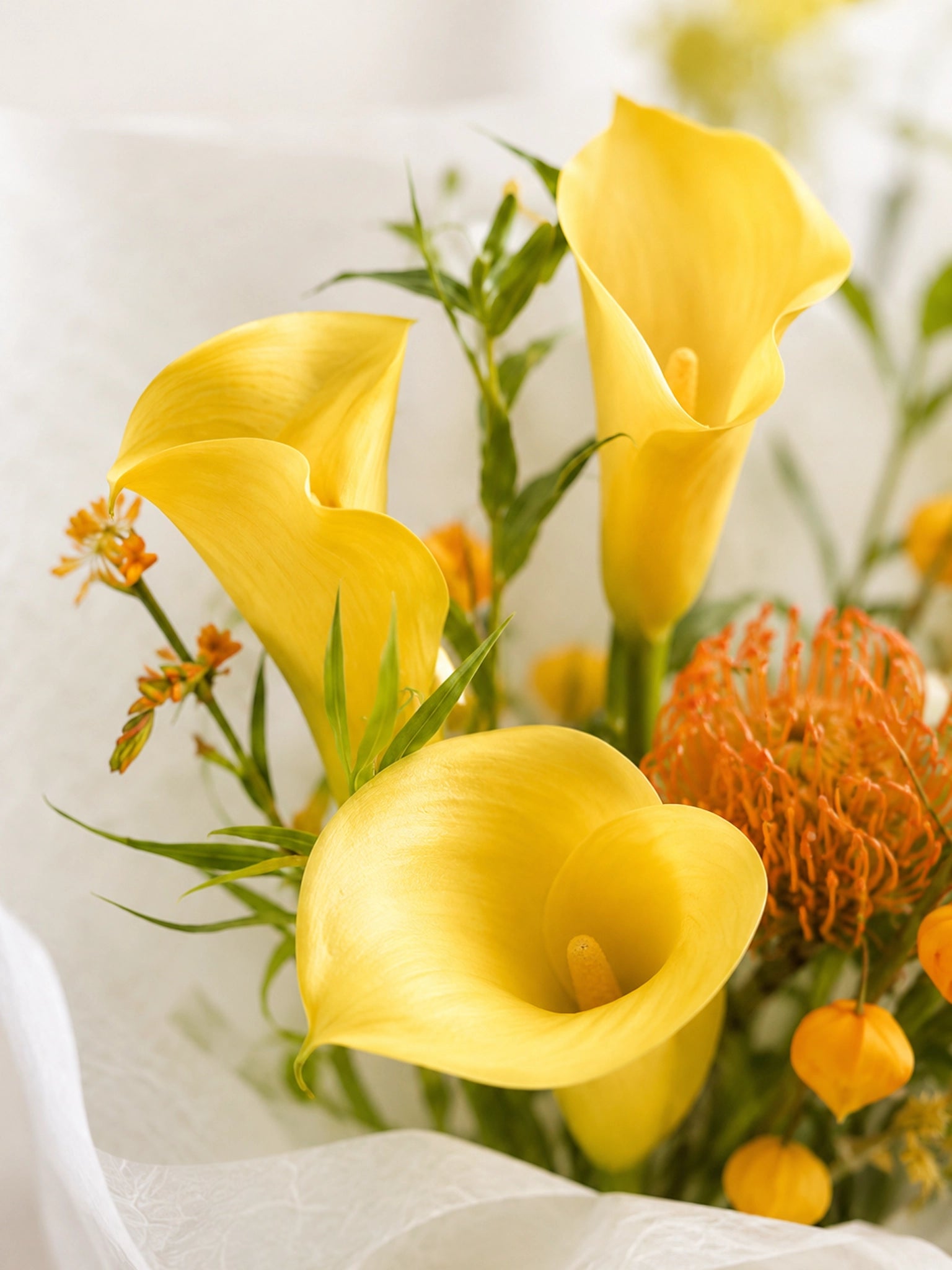 Golden Glow 花束特寫｜Yellow Calla Lily 配 Protea 及 seasonal flowers，明亮自然花藝設計