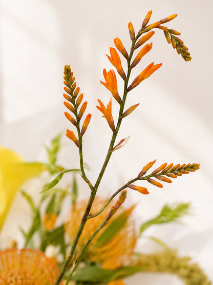 Golden Glow 花束細節｜Yellow Calla Lily、Protea 及 foliage，自然層次花藝設計