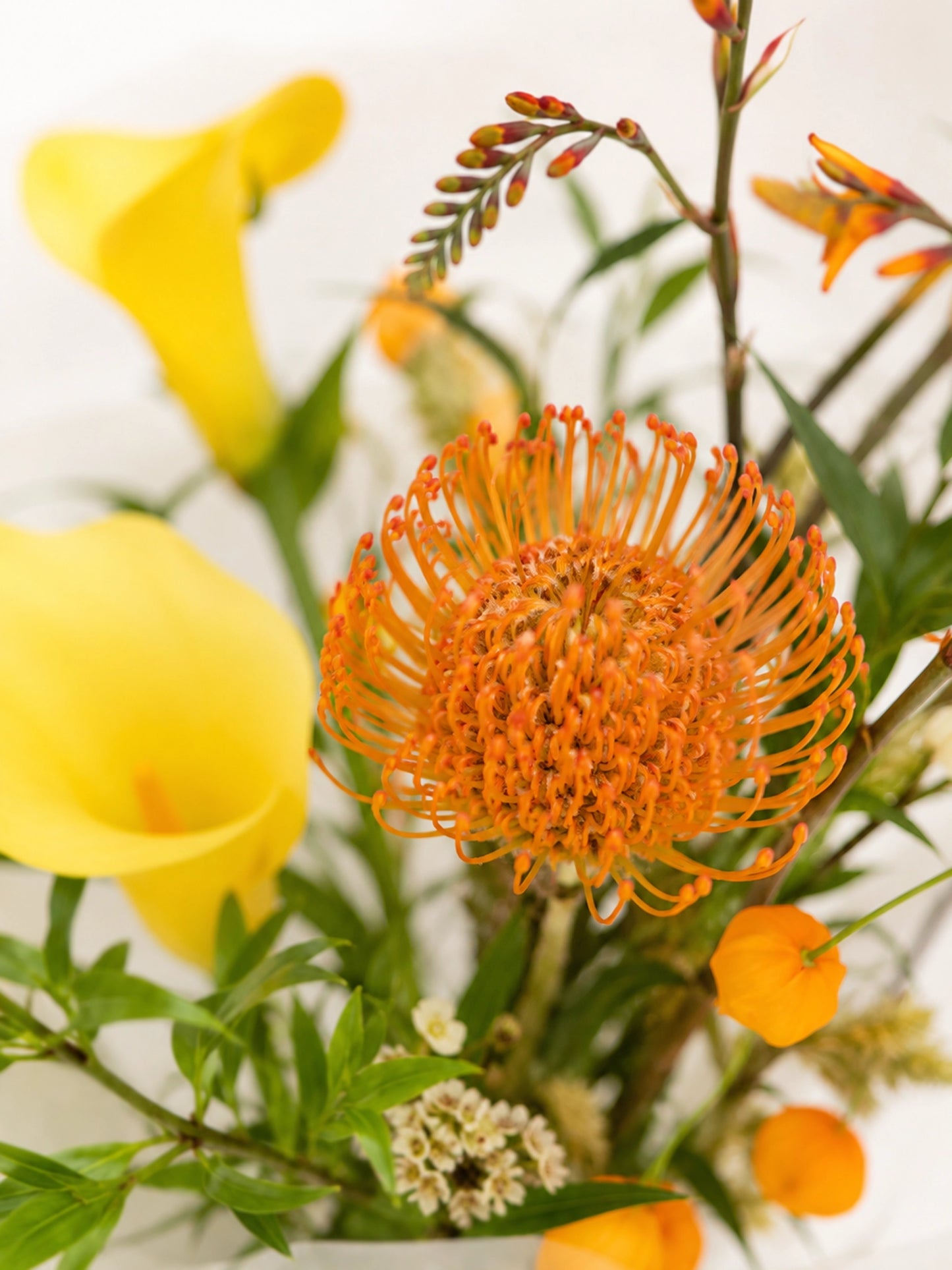 Golden Glow 花束細節｜Orange Protea 焦點特寫，配黃色馬蹄蘭及季節花材