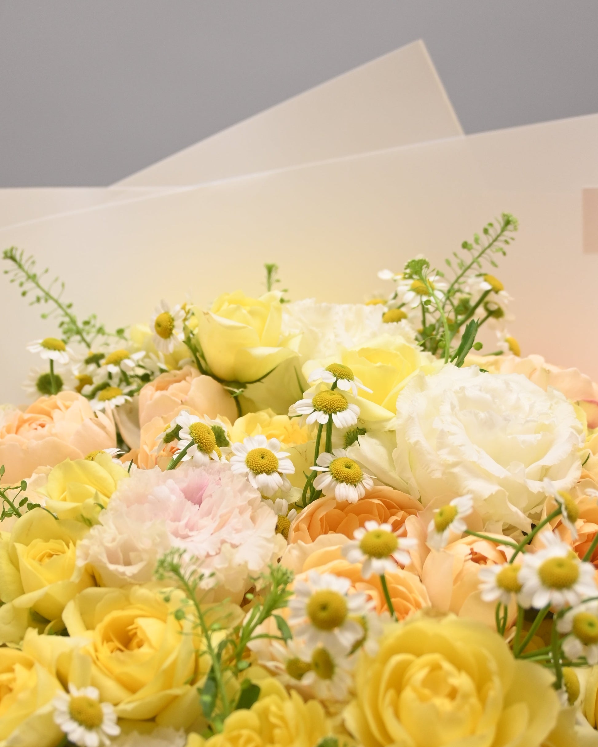 Golden Reverie 金黃色玫瑰近距離｜Golden roses close-up