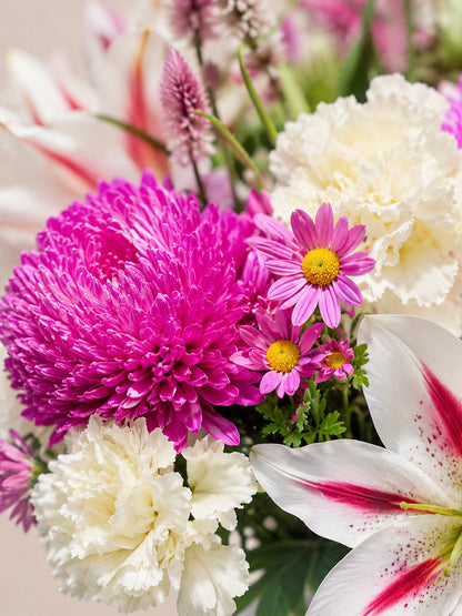 粉色菊花特寫｜Light Bloom Vase floral close-up
