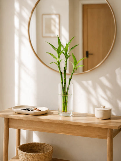 Lucky Bamboo 擺放於玄關 Entrance，迎接好運與 Positive Energy