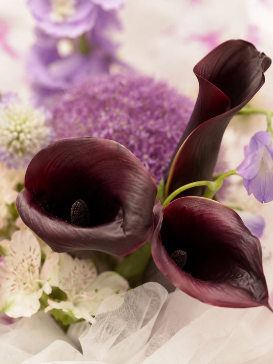 Midnight Muse 花束特寫｜Black Calla Lily、Allium 及 seasonal flowers，層次豐富花藝設計