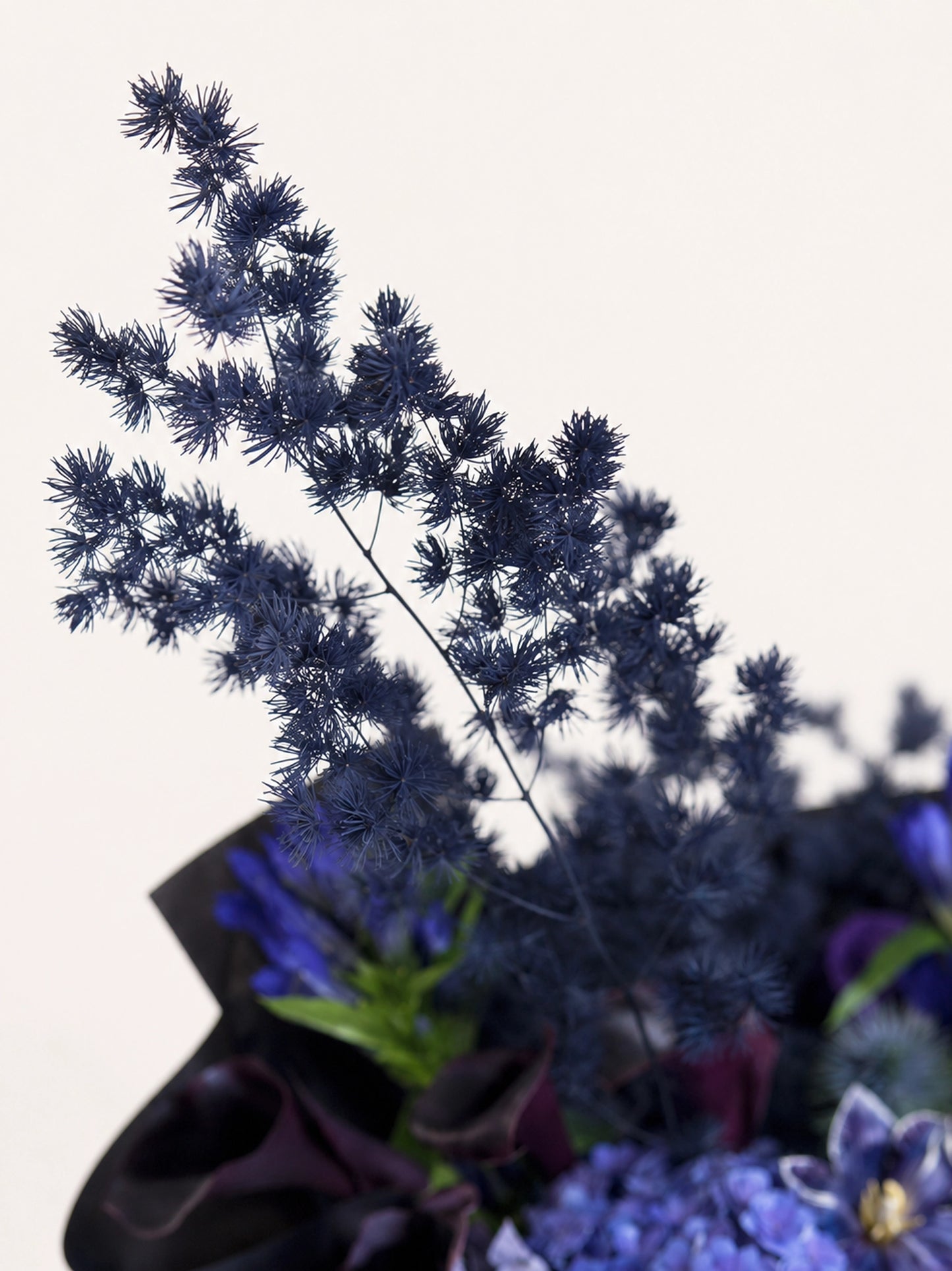 Midnight Odyssey 高身 dyed fern 特寫，配搭 blue gentian 與深色 foliage，呈現型格輪廓