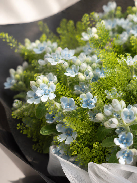 Midnight Whispers bouquet close-up 藍色 tweedia 細節, white freesia and fresh greenery, premium florist HK