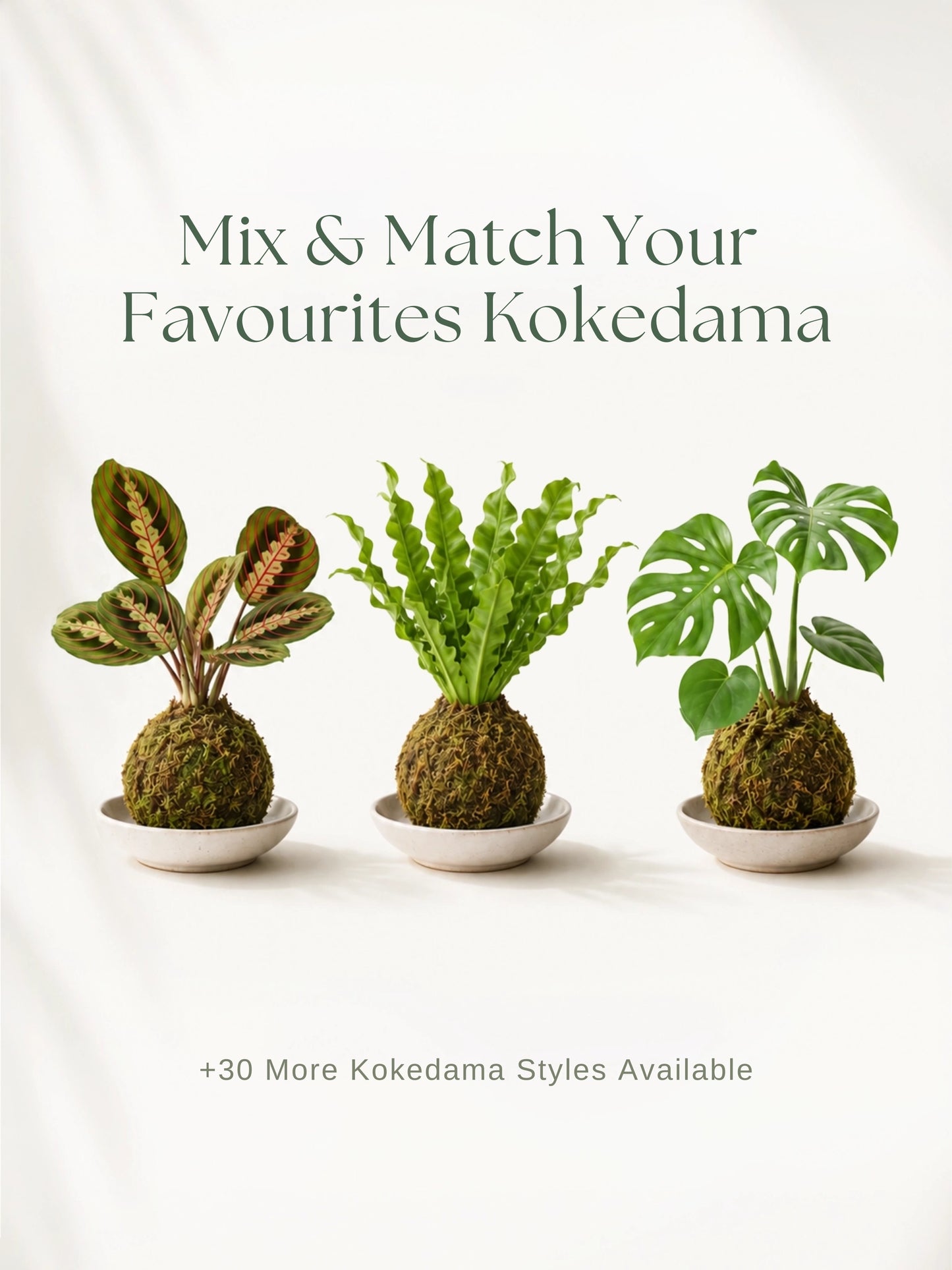 日式苔蘚球 Kokedama｜Mix & Match 自由配搭最愛植物，30+ 款 Kokedama Styles Available