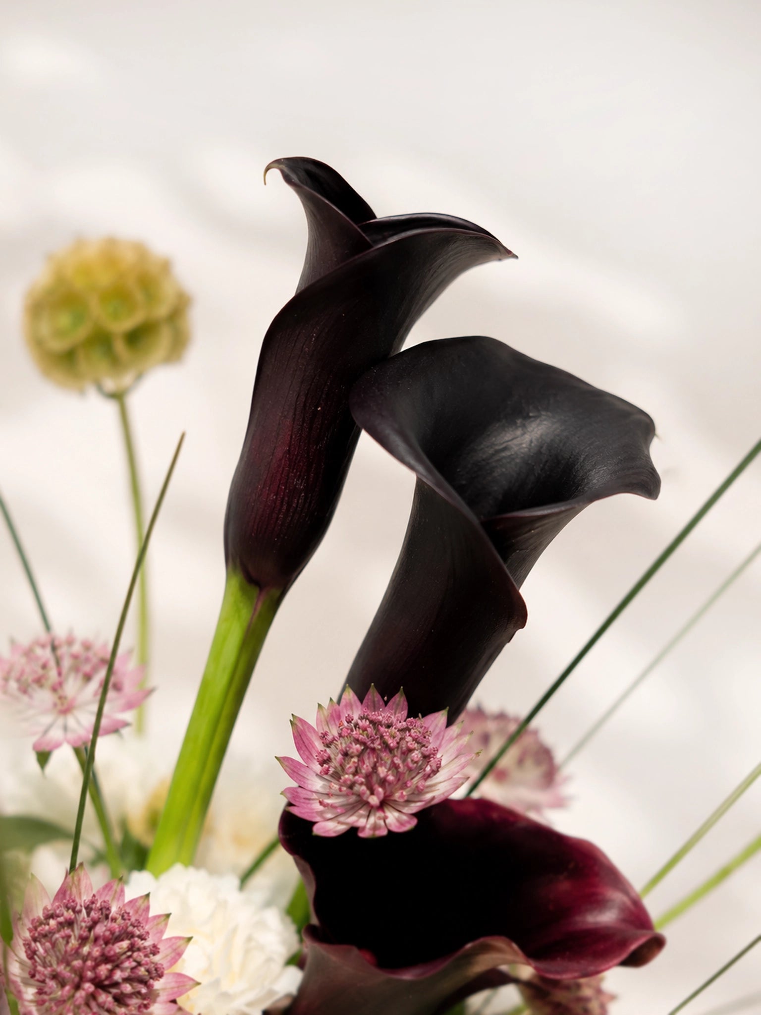 Obsidian Grace 花束整體構圖，黑白對比設計配搭俐落線條，展現現代奢華花藝風格。