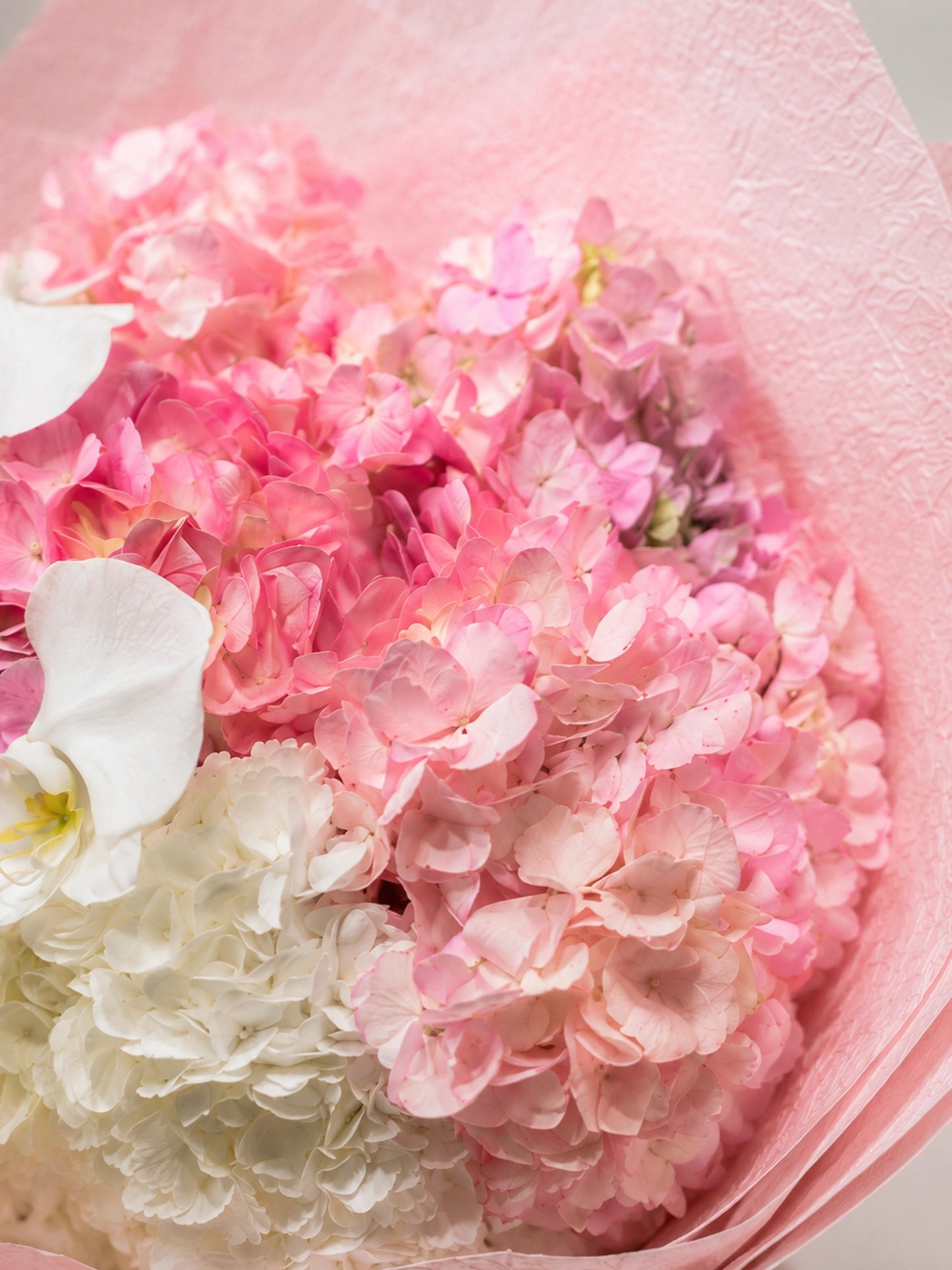 Serene Haven - Ocean Whisper XL Pink Bouquet 粉色系列豪華繡球花束 細緻花藝