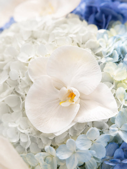 Serene Haven - Ocean Whisper Bouquet 高貴白蘭花特寫 展現精緻花藝細節